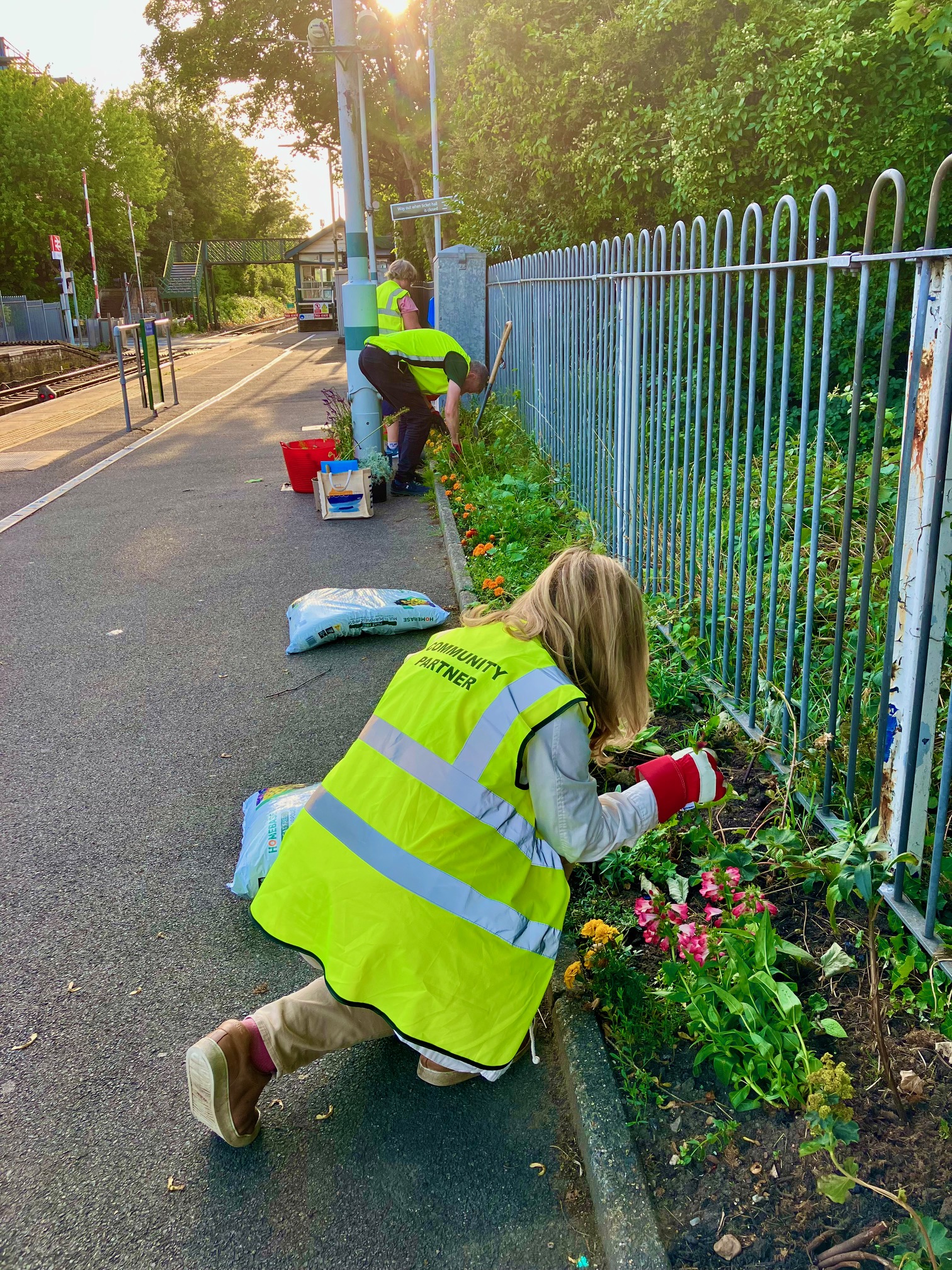 Volunteers from Growing Redhill and Loveworks, Reigate, work hard to make our local railway platforms a joy to visit; clearing and planting beds and planters to provide not only a gorgeous visual display for travellers but also vital pollinator pathways for all sorts of insects. A wonderful example of community transformational urban greening across the local borough.